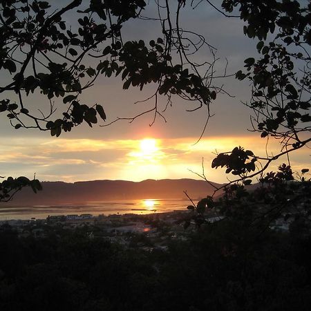 Mount Joy Cottages Knysna Extérieur photo
